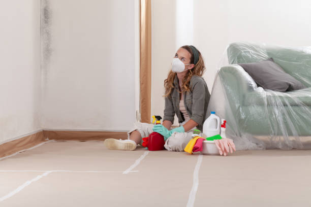 Reliable Black Mold Remediation contractor in Great Mills, MD by Mold Remediation HQ